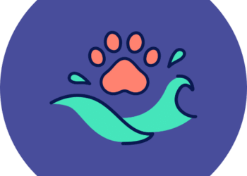 SplashBuddy