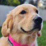 Foto del perfil de Kira